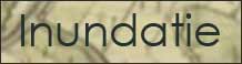 inundatie